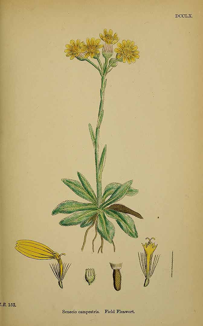 no HD illustration available (3)