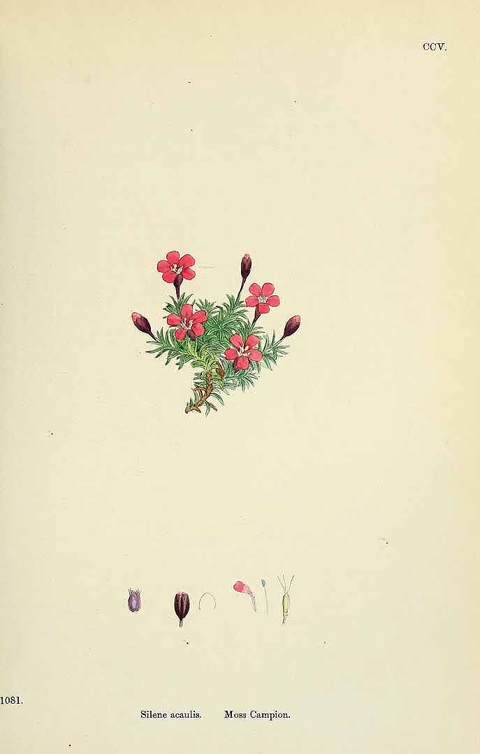 no HD illustration available (3)