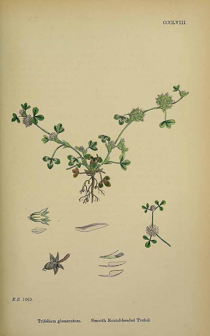 no HD illustration available (3)