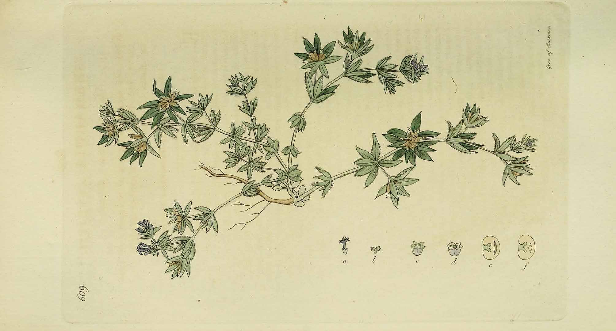 no HD illustration available (3)