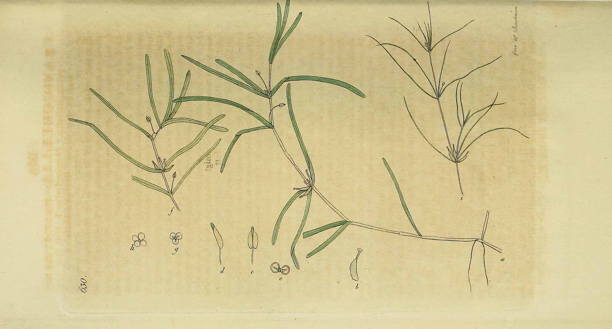 no HD illustration available (3)