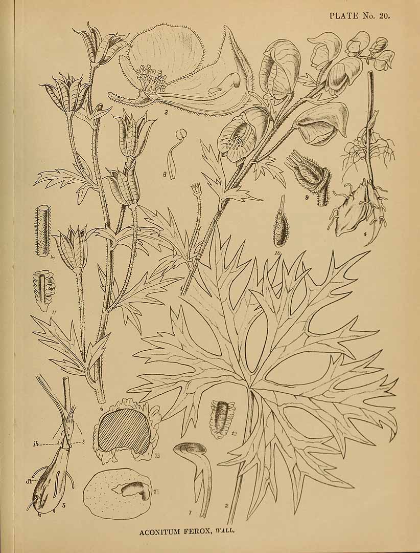 no HD illustration available (m1)
