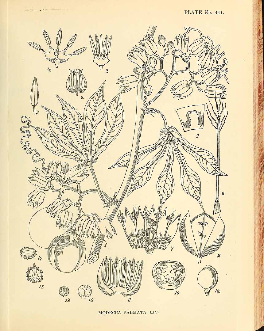 no HD illustration available (3)