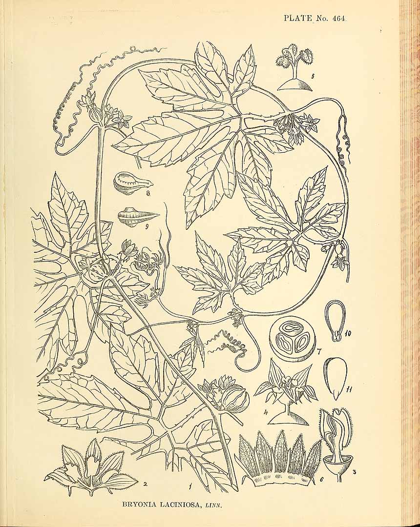 no HD illustration available (3)