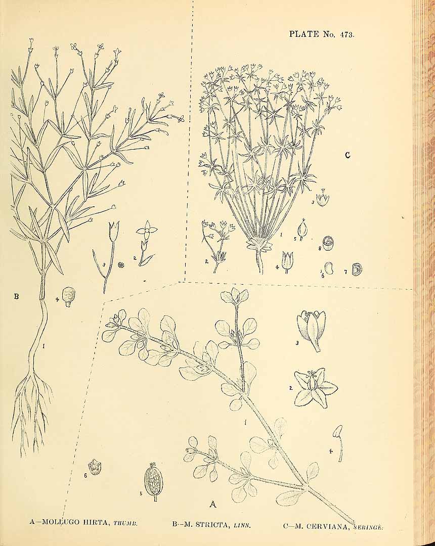 no HD illustration available (3)