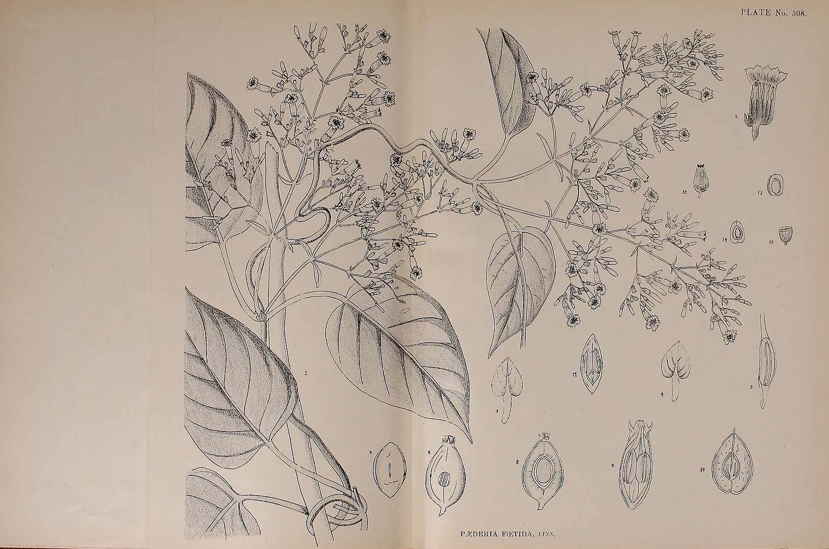 no HD illustration available (3)