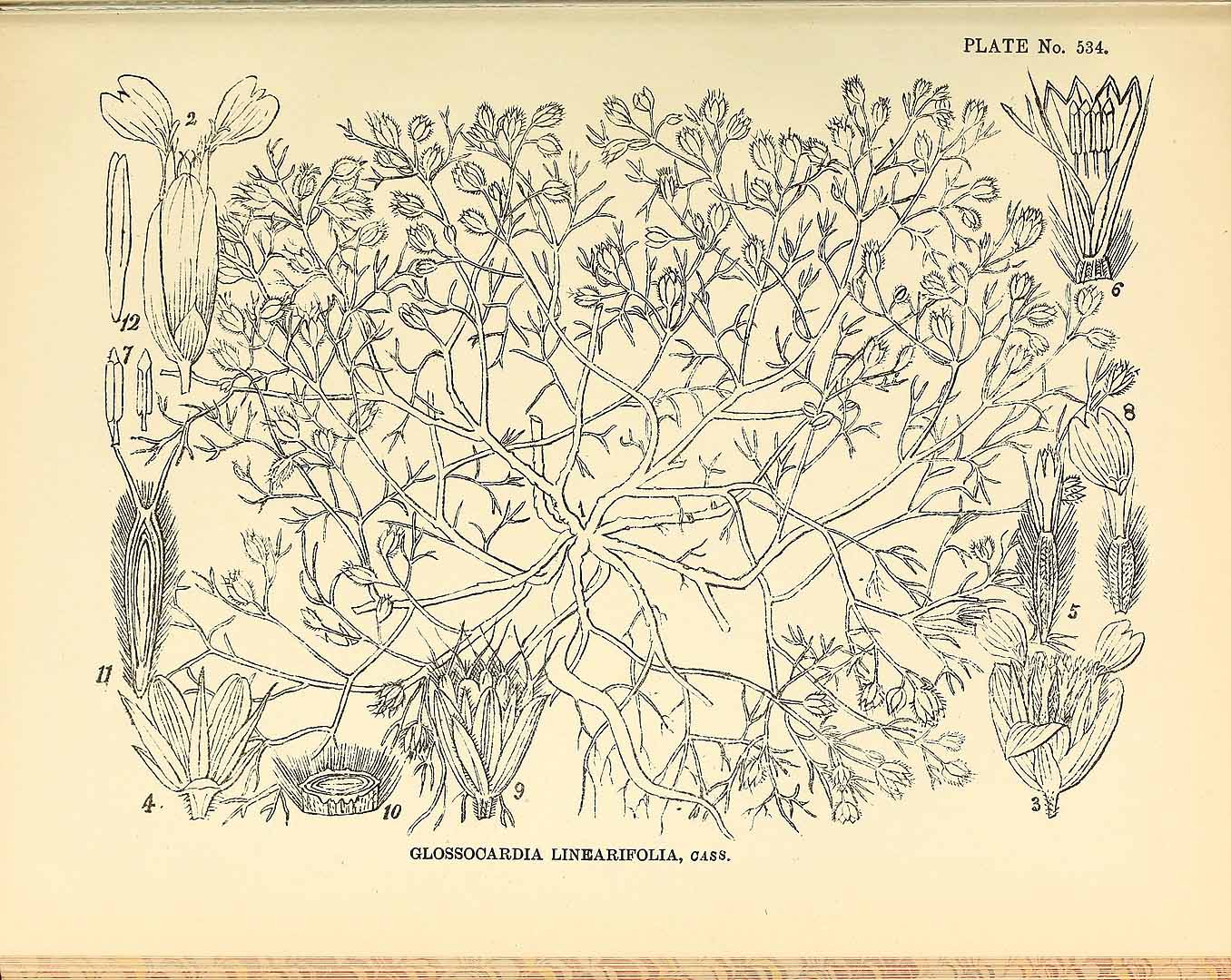 no HD illustration available (3)