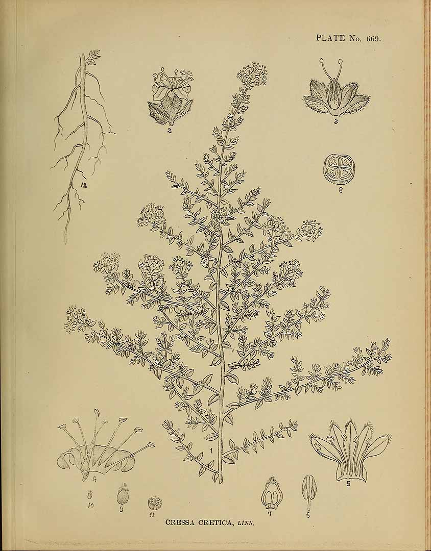 no HD illustration available (3)