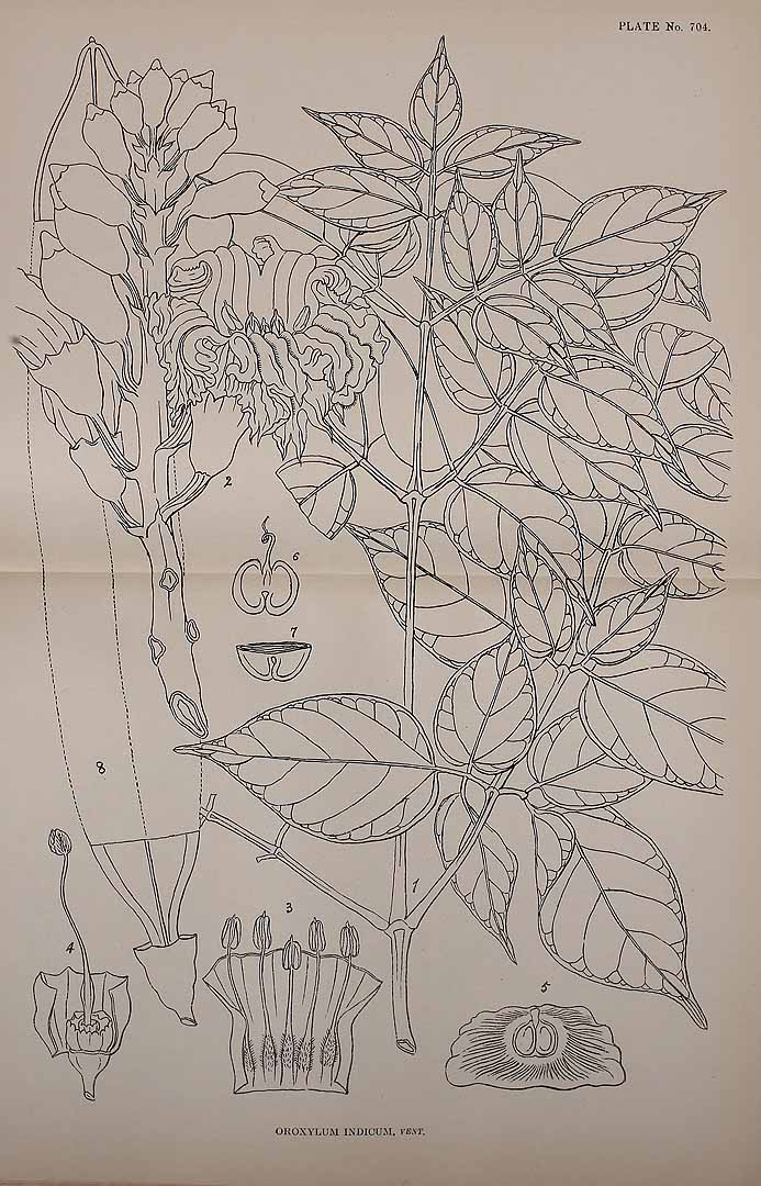 no HD illustration available (3)