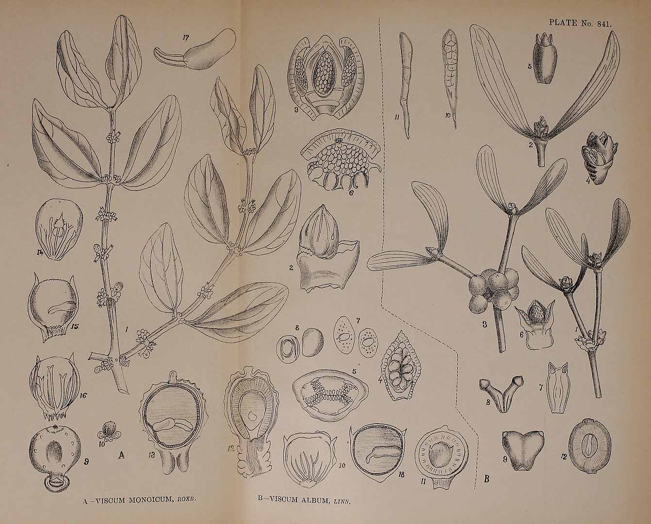 no HD illustration available (3)