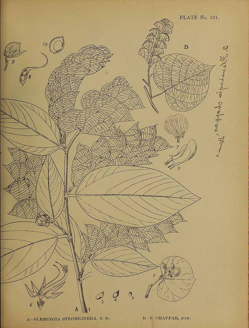 no HD illustration available (3)