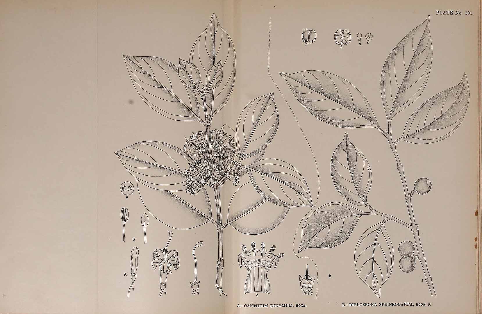 no HD illustration available (3)