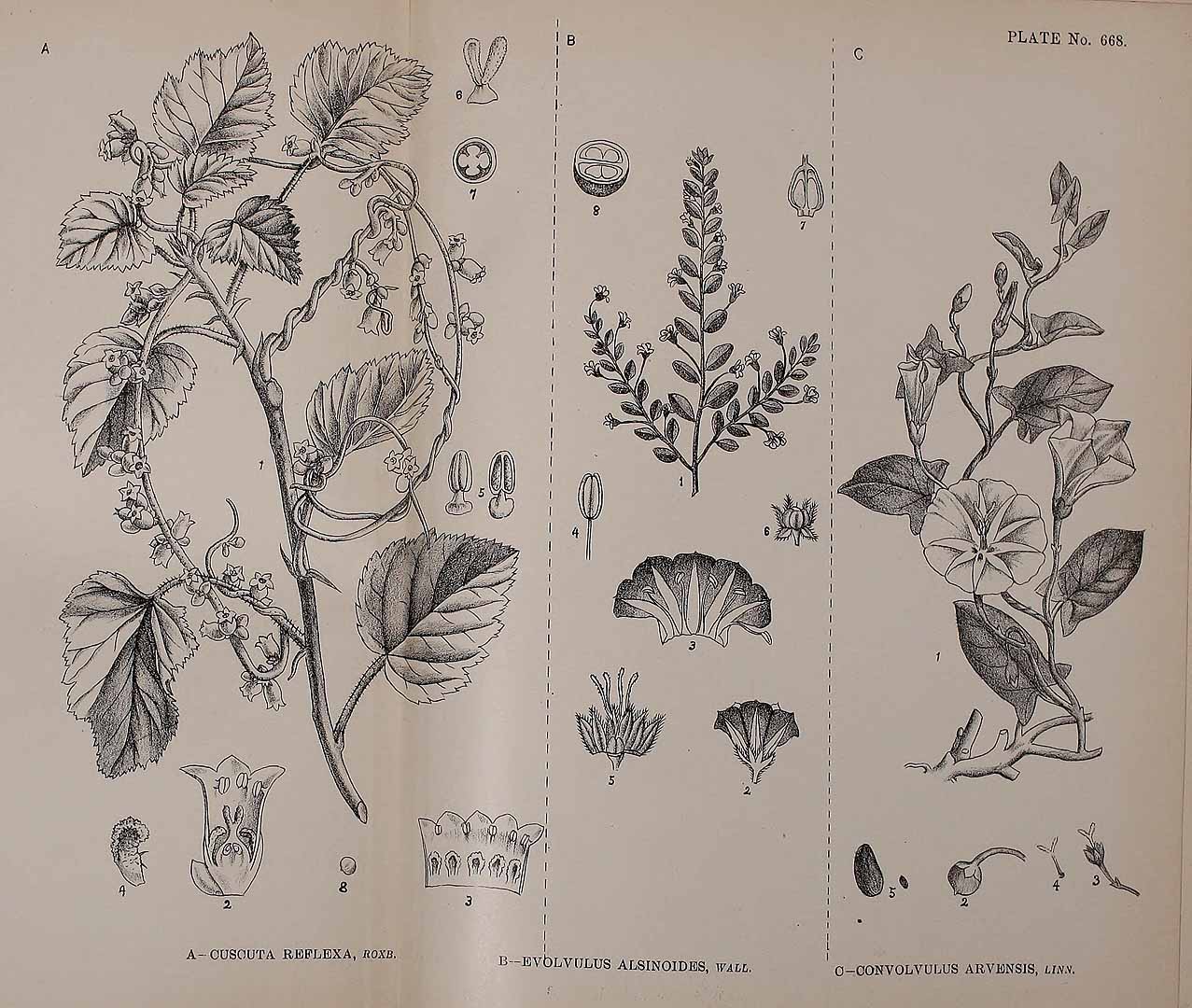 no HD illustration available (3)