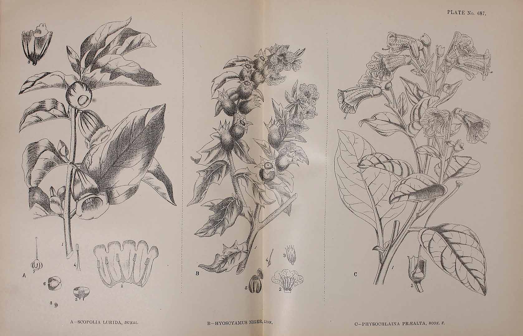 no HD illustration available (3)