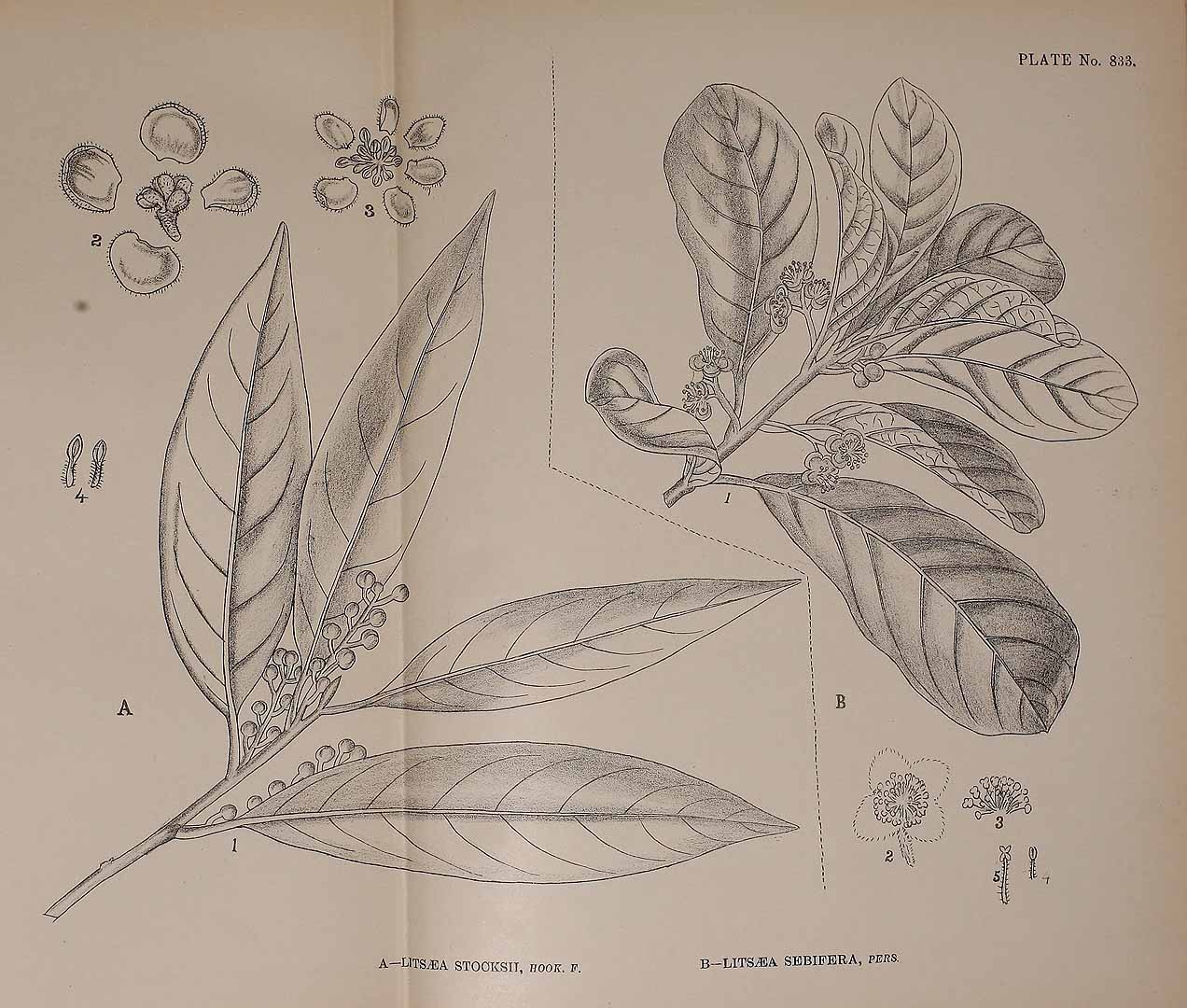 no HD illustration available (3)