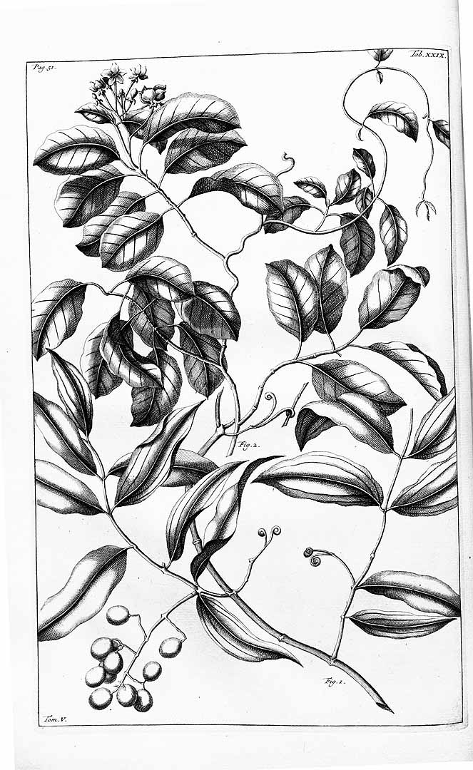 no HD illustration available (3)