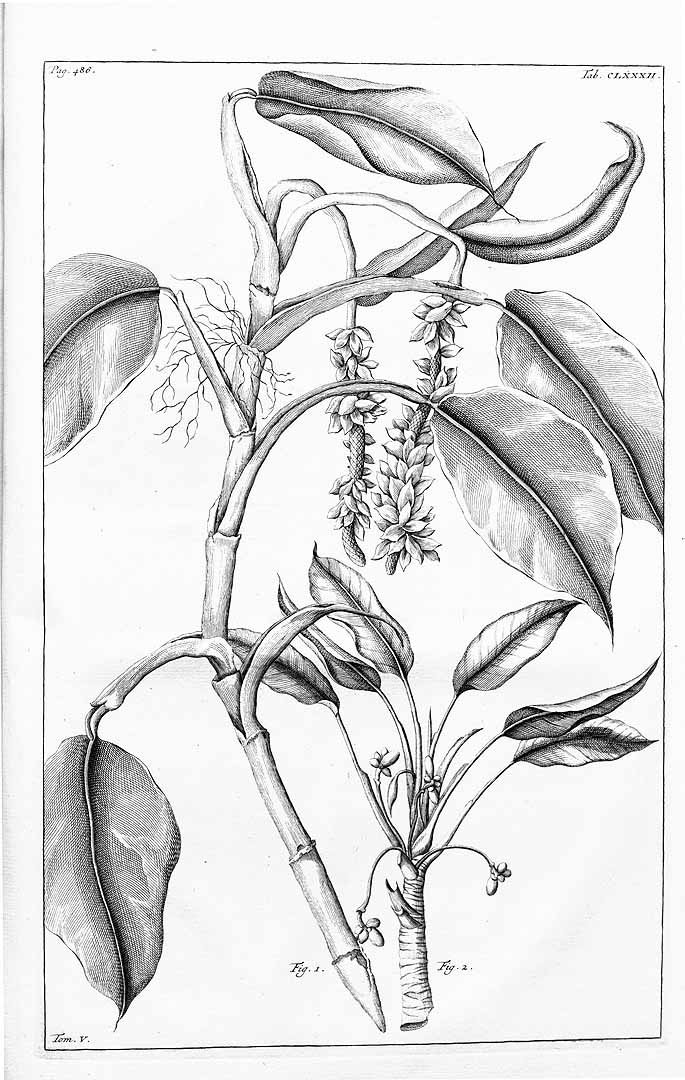 no HD illustration available (3)