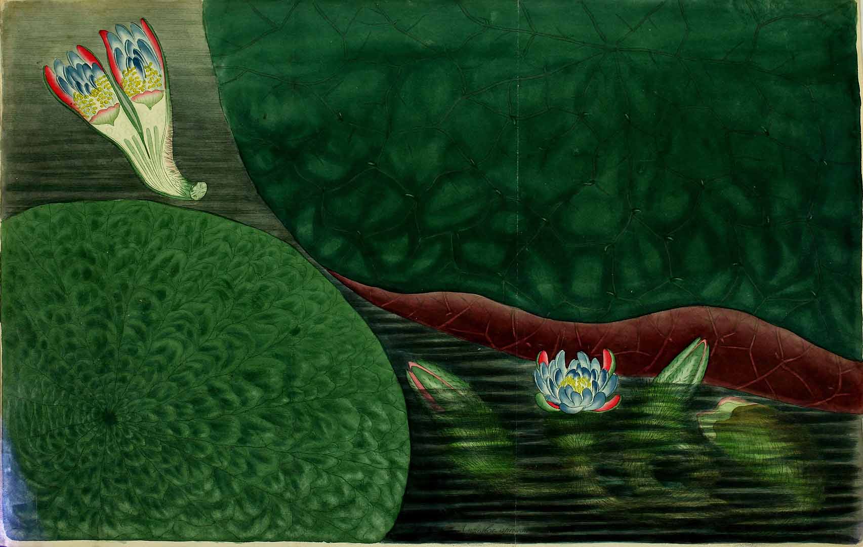no HD illustration available (3)