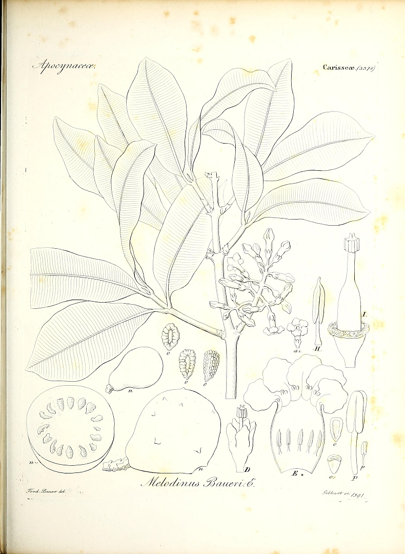no HD illustration available (3)