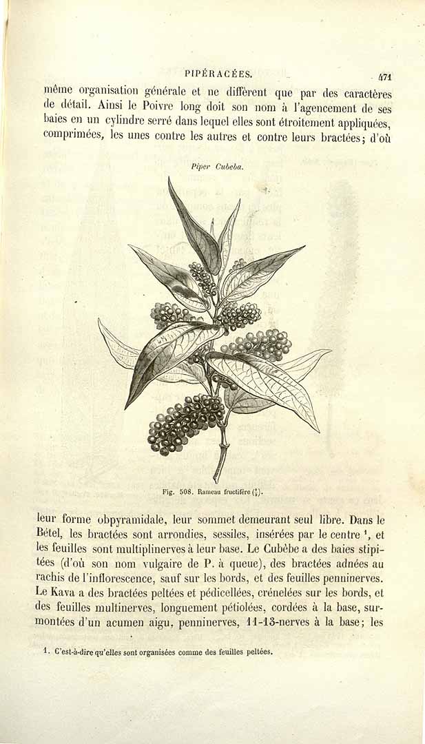 no HD illustration available (3)