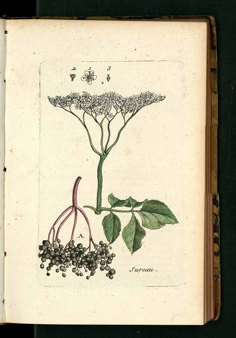 no HD illustration available (3)