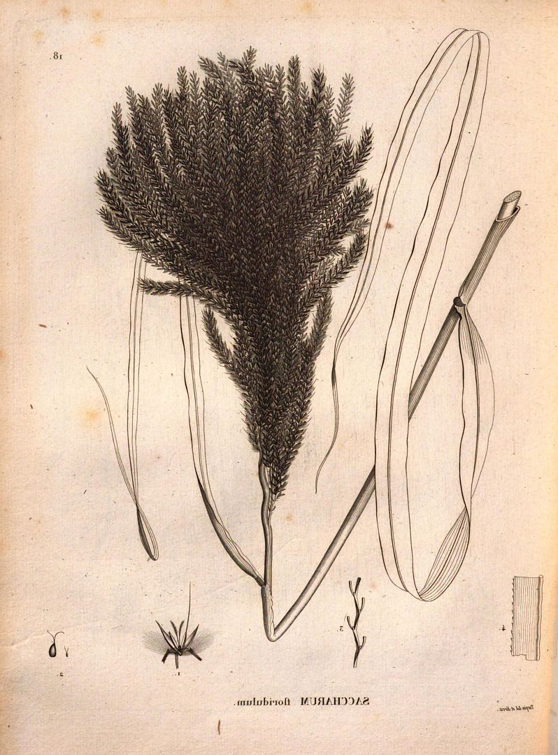 no HD illustration available (3)