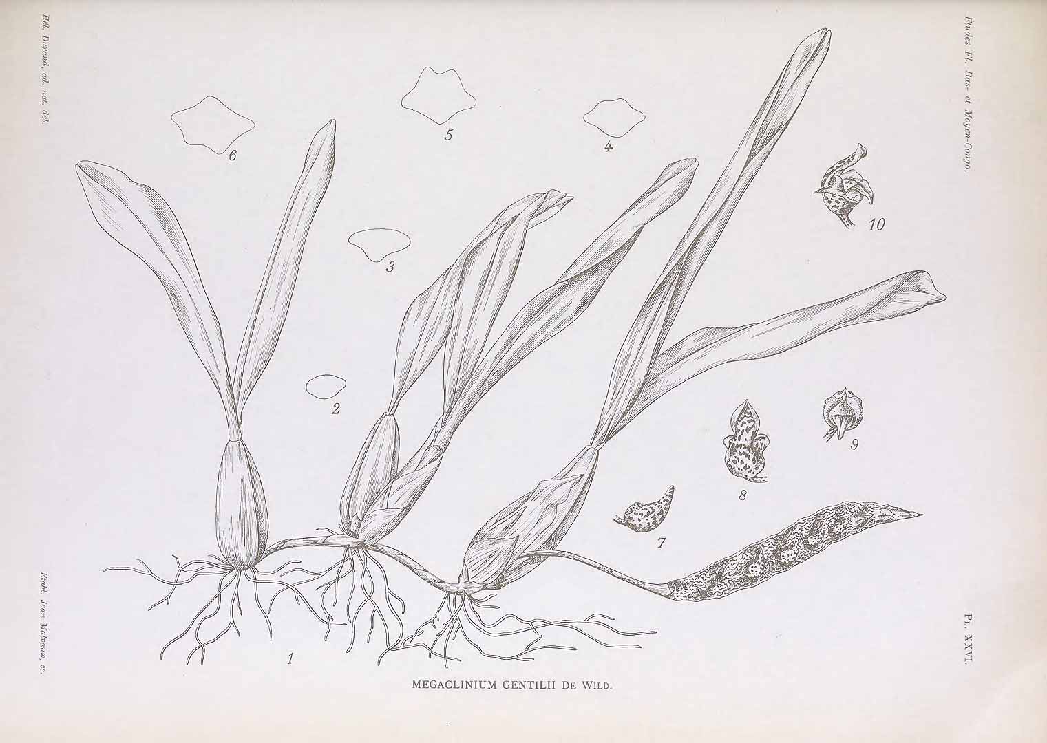 no HD illustration available (3)