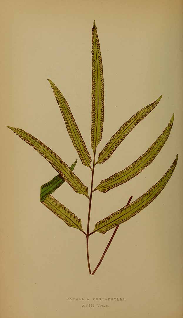 no HD illustration available (3)