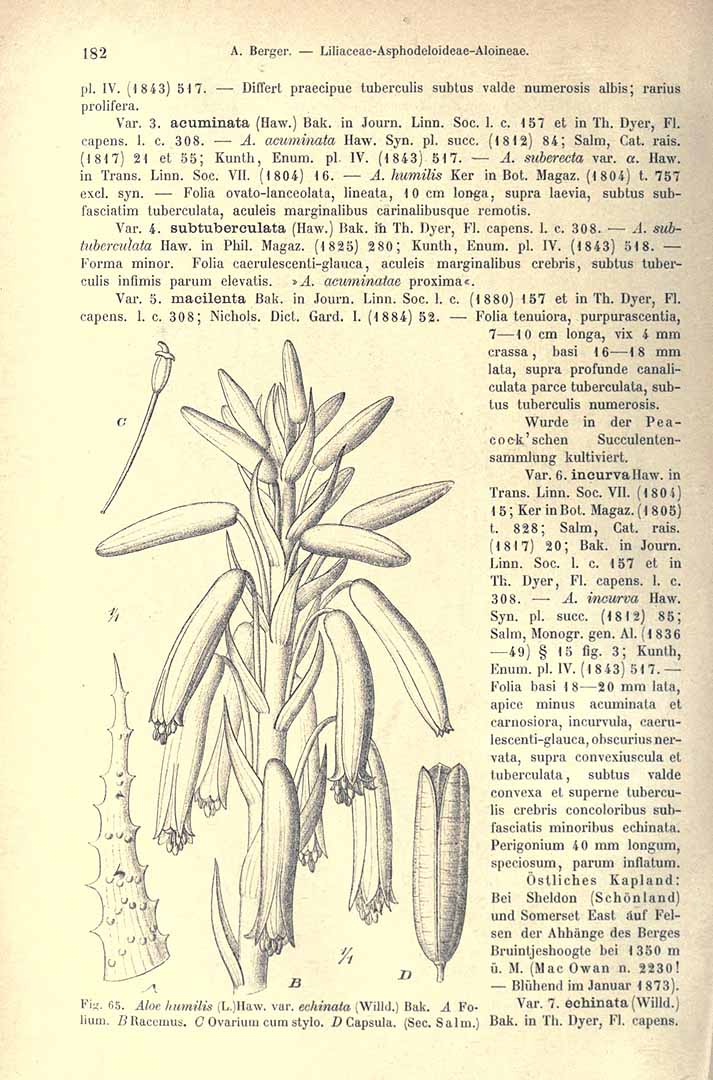 no HD illustration available (3)