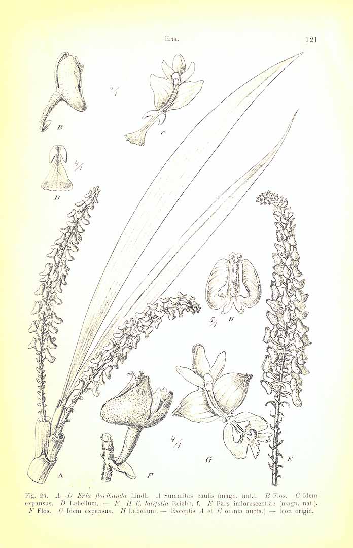 no HD illustration available (3)