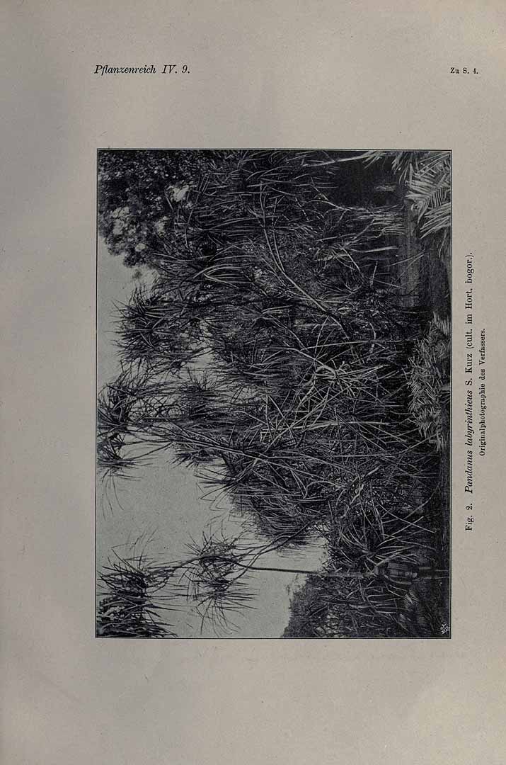 no HD illustration available (m1)