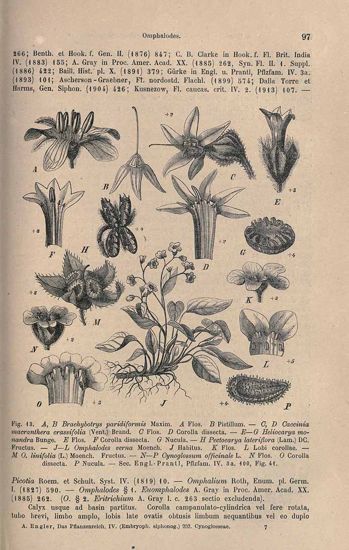 no HD illustration available (3)