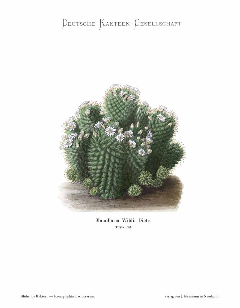 no HD illustration available (m1)
