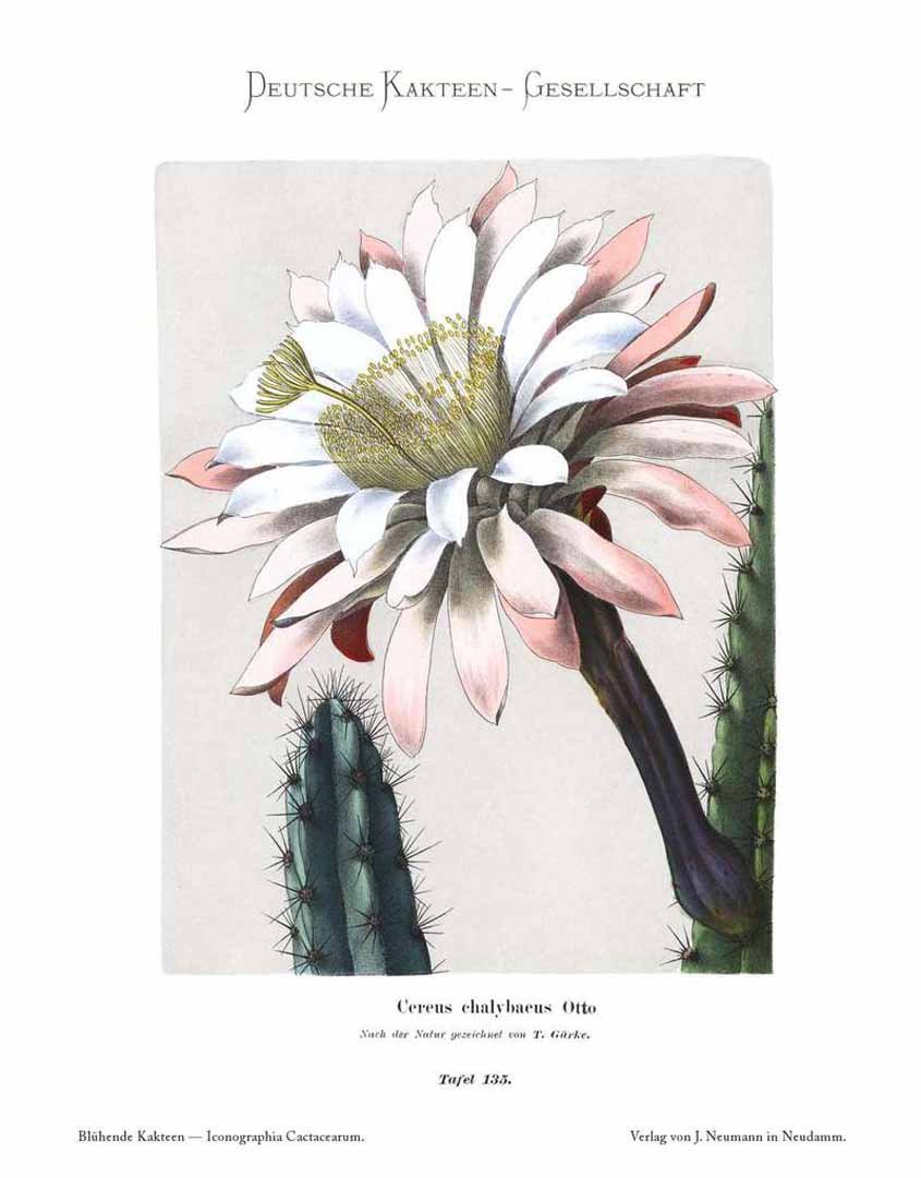 no HD illustration available (m1)