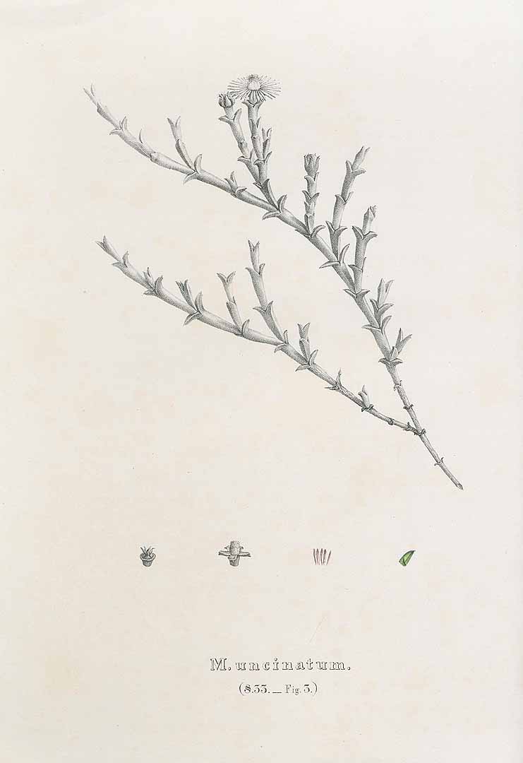 no HD illustration available (3)