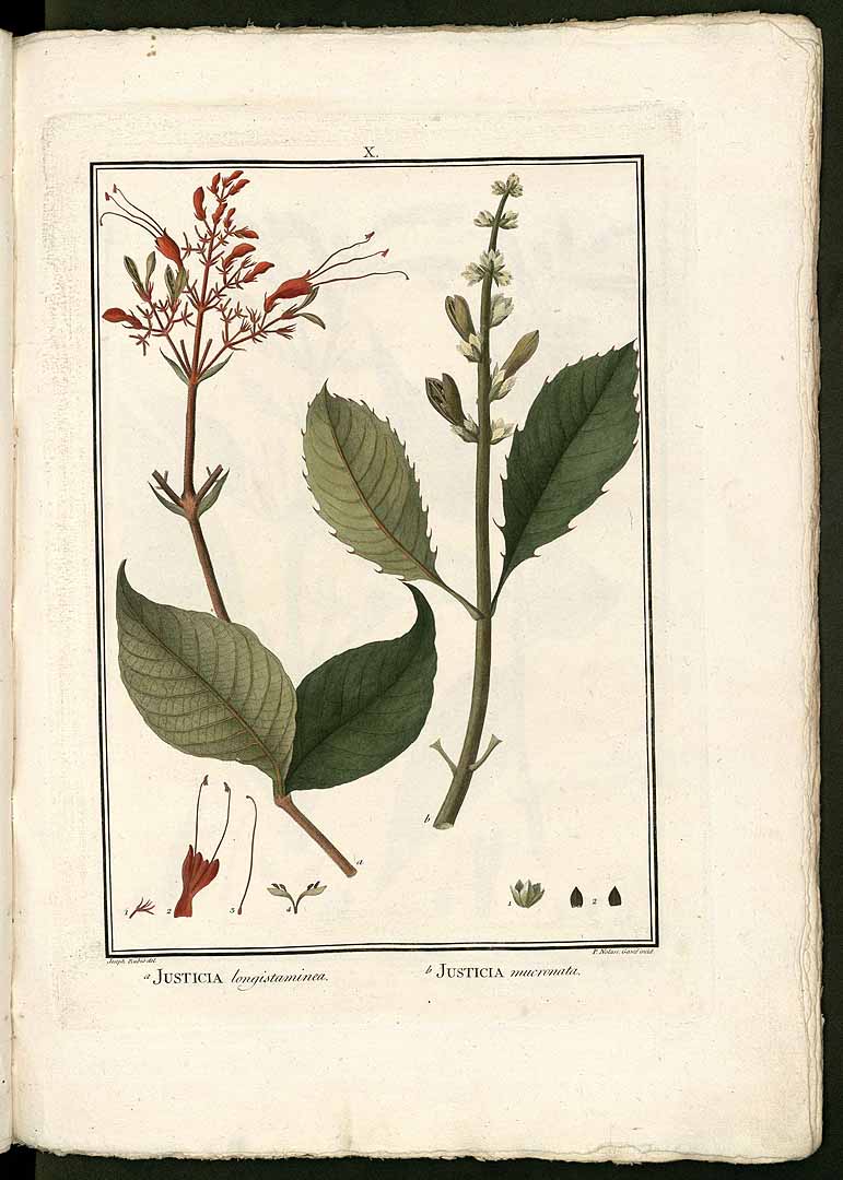 no HD illustration available (3)