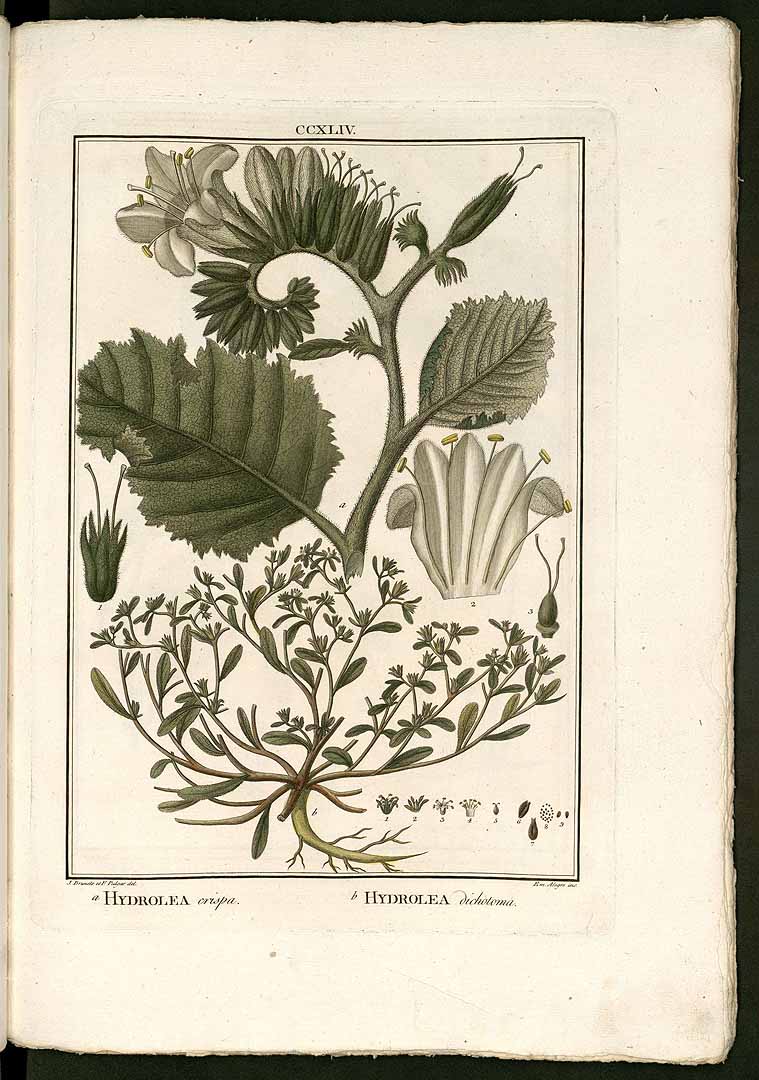 no HD illustration available (3)