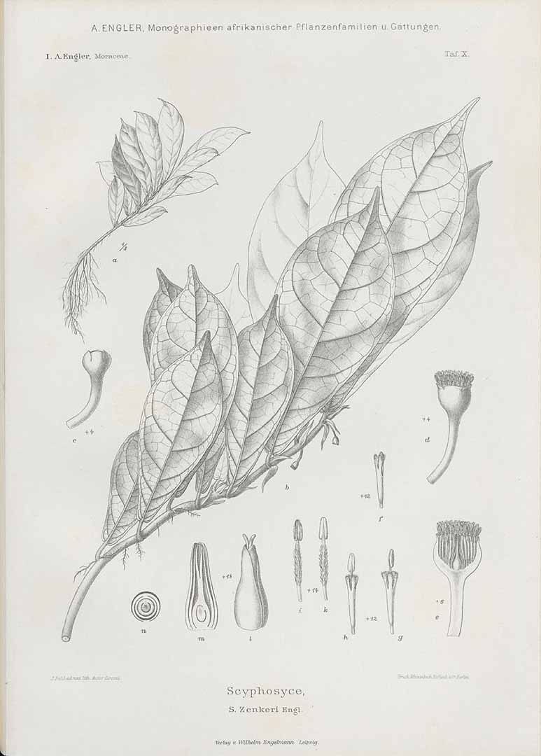 no HD illustration available (m1)