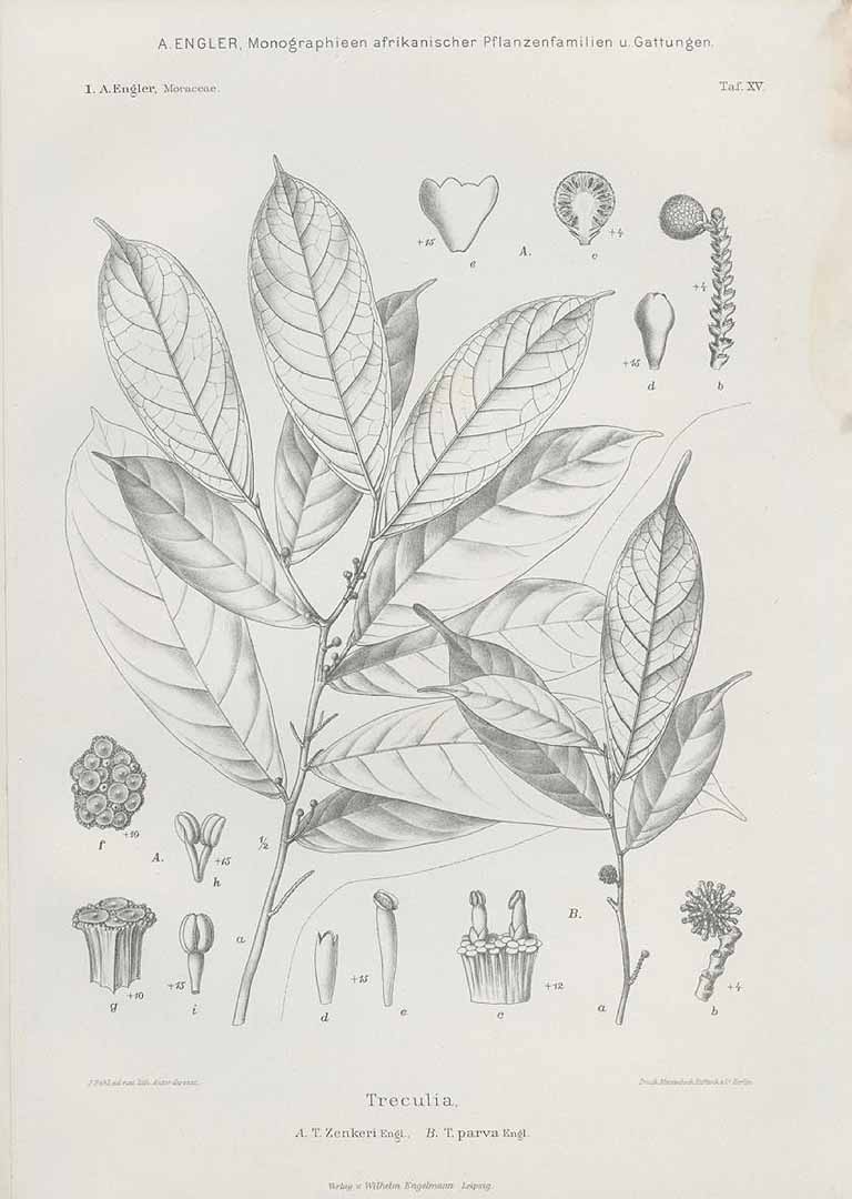 no HD illustration available (m1)