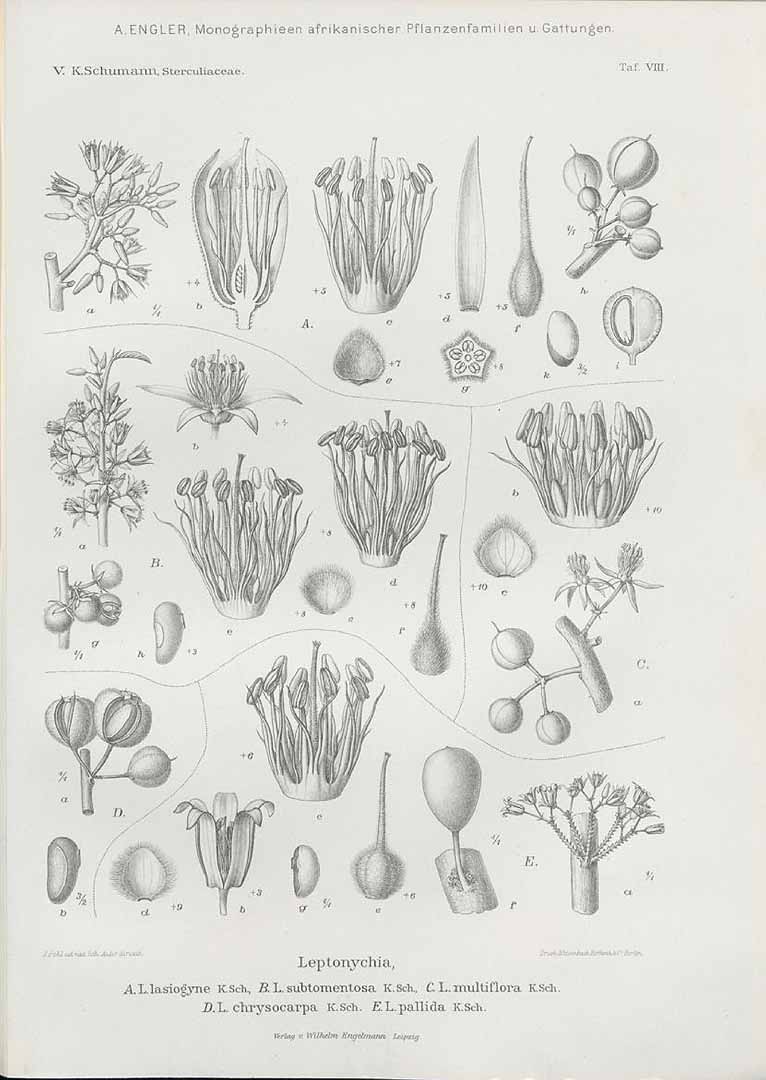 no HD illustration available (m1)