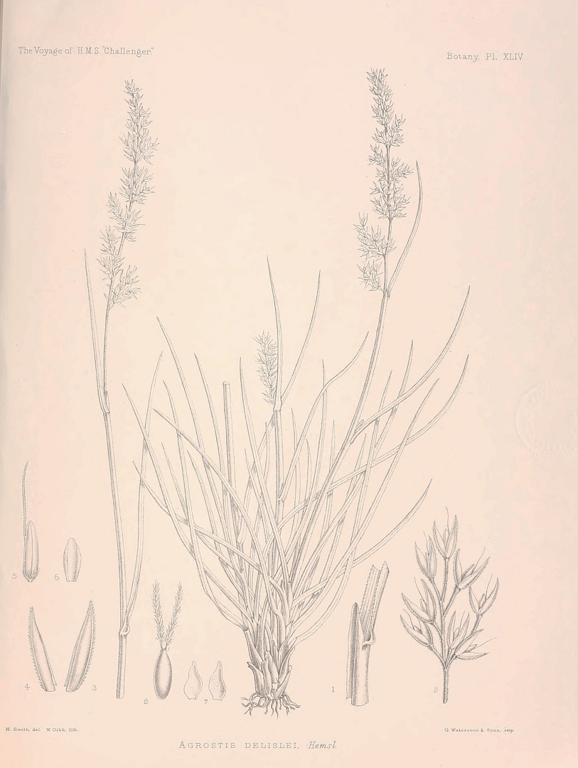 no HD illustration available (m1)
