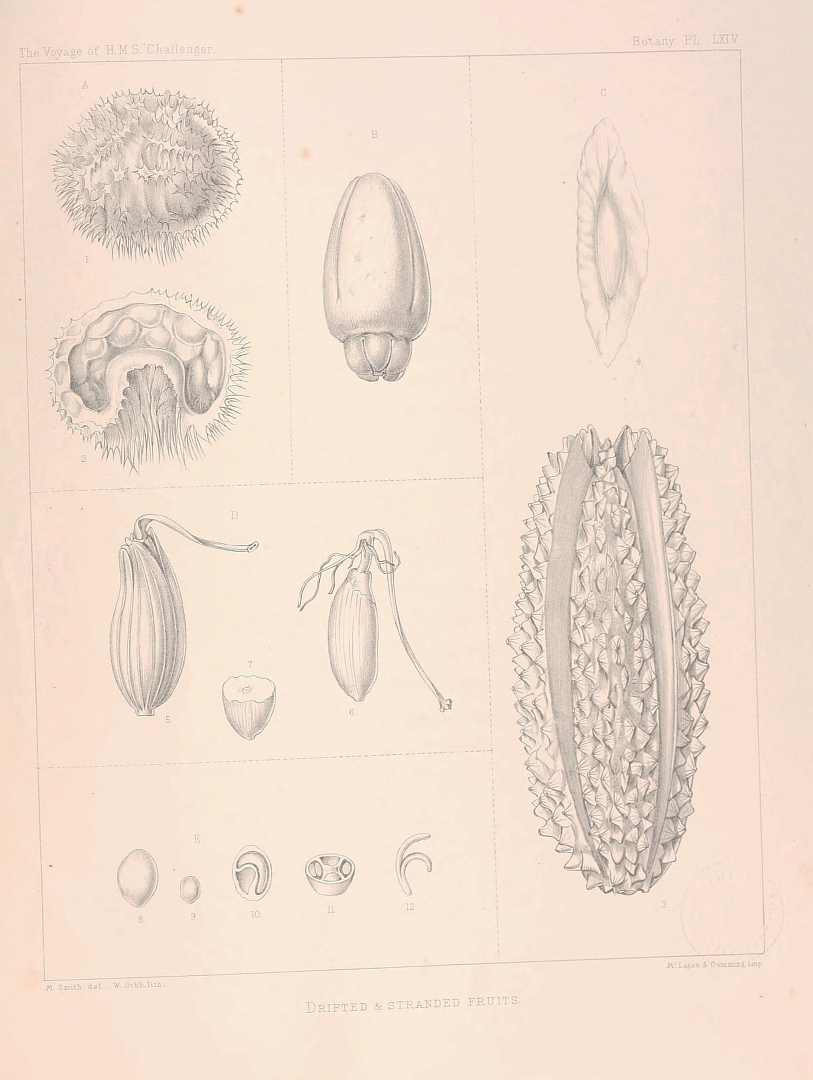 no HD illustration available (3)
