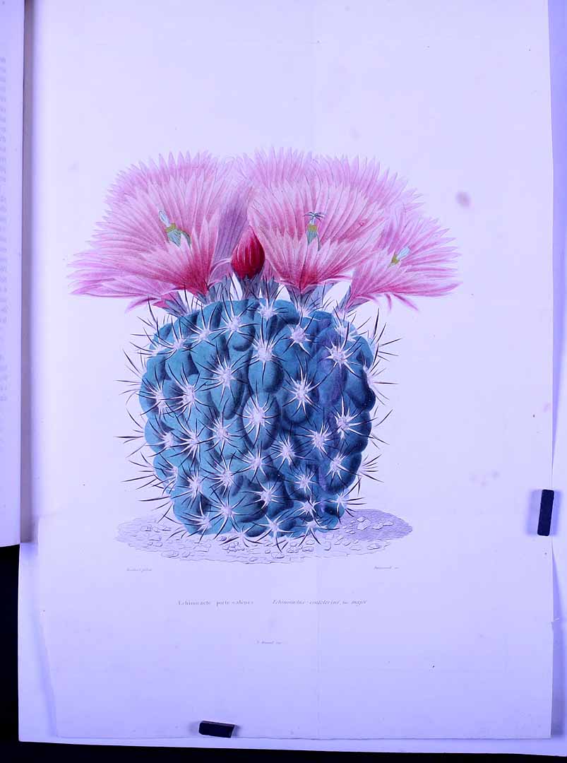 no HD illustration available (3)