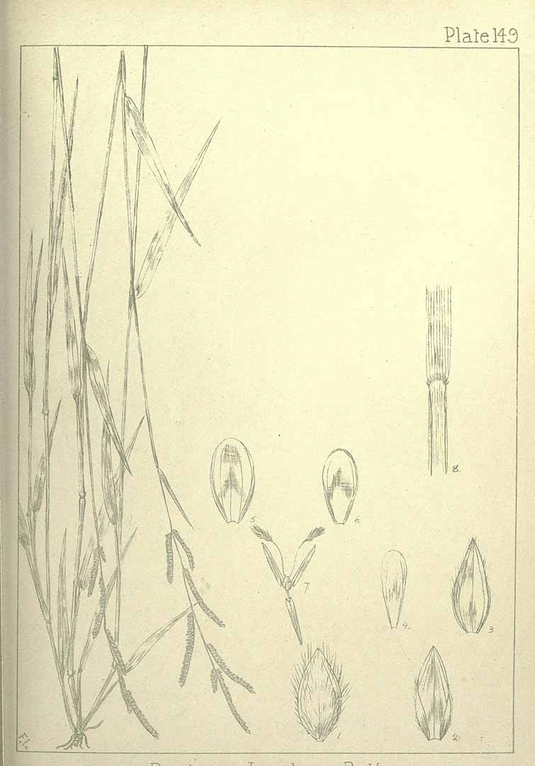 no HD illustration available (3)
