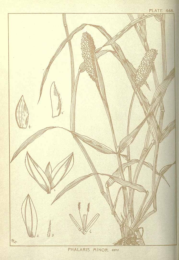 no HD illustration available (3)