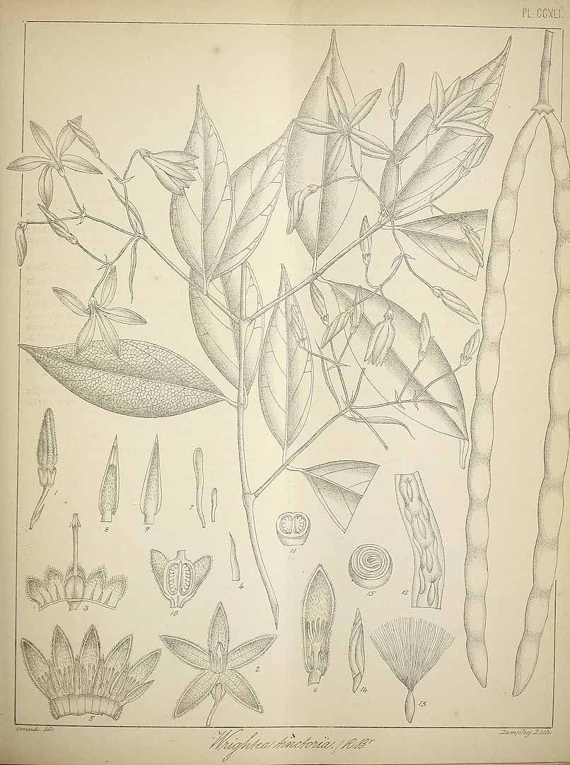 no HD illustration available (m1)