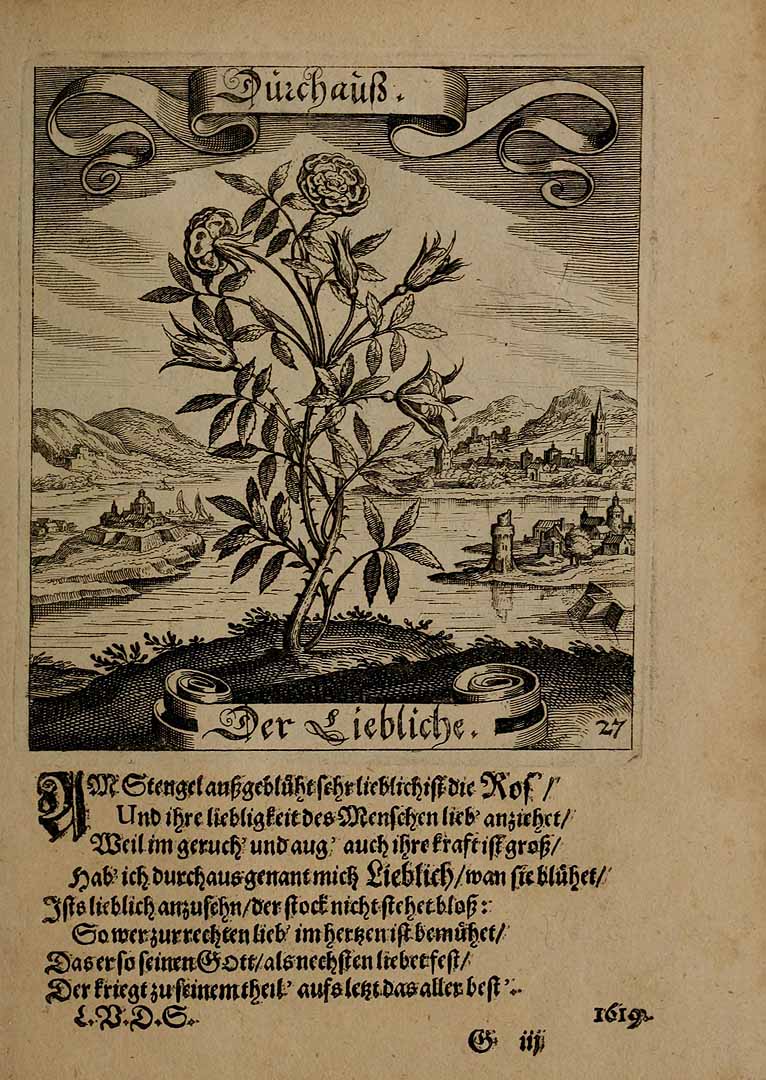 no HD illustration available (3)