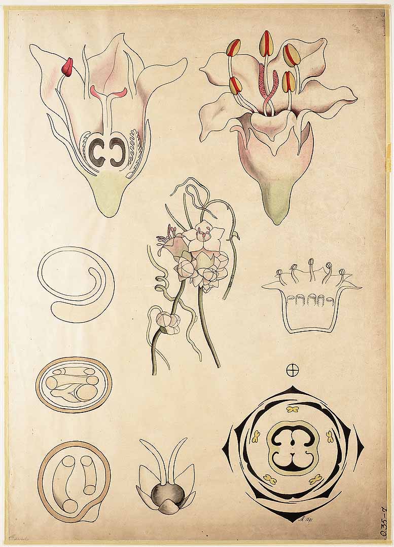 no HD illustration available (3)