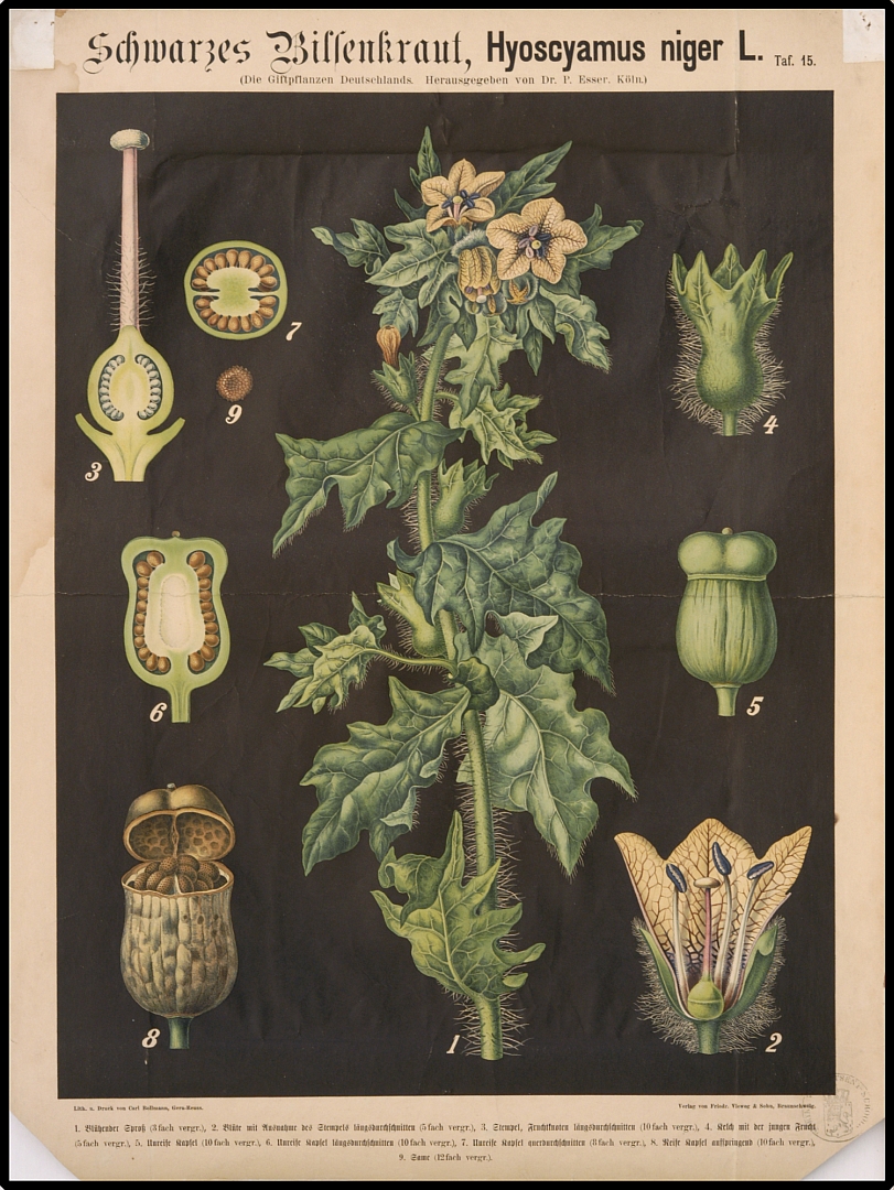 no HD illustration available (3)
