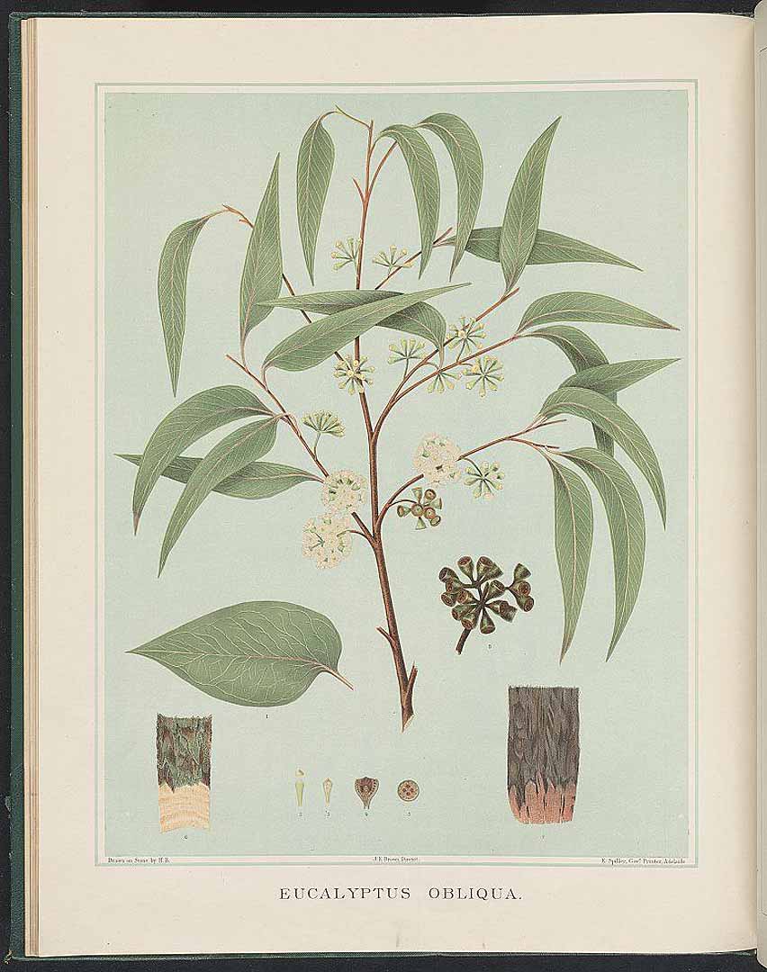 no HD illustration available (3)